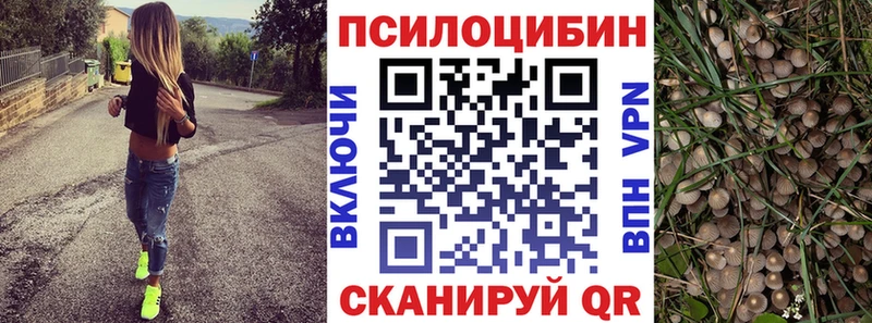 Купить где  Велиж  Галлюциногенные грибы Cubensis 