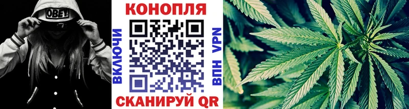 Бошки марихуана THC 21%  Купить  Велиж 